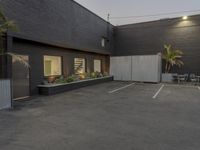 the empty parking lot is decorated with palm trees and other plants on the side of the building