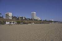 a group of people on a beach next to the ocean and a resort on the horizon