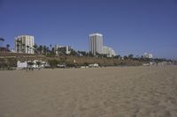 a group of people on a beach next to the ocean and a resort on the horizon