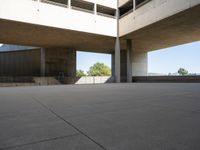 Open Spaces of Los Angeles: The Blend of Concrete and Clear Skies