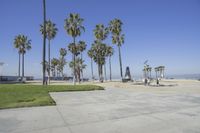 a view of the beach and palm trees at an area that has sand, grass, and a clock tower