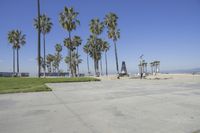 a view of the beach and palm trees at an area that has sand, grass, and a clock tower