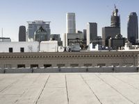 the roofs are empty, with buildings in the background and a city skyline in the distance