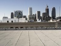 the roofs are empty, with buildings in the background and a city skyline in the distance