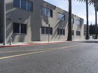 Los Angeles: Palm Trees and Asphalt Roads