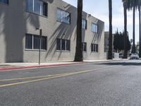 Los Angeles: Palm Trees and Asphalt Roads