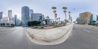 a fisheye lens is showing a wide city street with palm trees, on the side of a long stretch of road