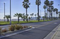 a road with palm trees along it next to the ocean and ocean line in the distance