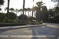 an image of a park with palm trees and bushes at sunset time in california, usa