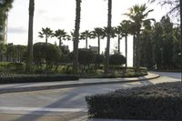an image of a park with palm trees and bushes at sunset time in california, usa