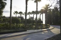 an image of a park with palm trees and bushes at sunset time in california, usa