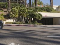 a man wearing a helmet stands in a street looking at a parking garage and building with palms