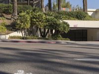 a man wearing a helmet stands in a street looking at a parking garage and building with palms