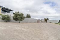 large parking lot with tree in the middle of it outside of a house with large driveway