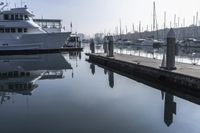 Los Angeles Pier: Experience the Coastal Vibes of California