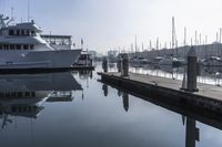 Los Angeles Pier: Experience the Coastal Vibes of California