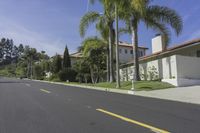 a residential street with palm trees in a sunny day in california's west coast