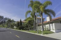 a residential street with palm trees in a sunny day in california's west coast