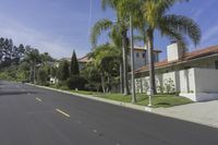 a residential street with palm trees in a sunny day in california's west coast