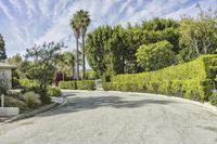 a driveway in front of several trees with hedges and bushes on either side of the road