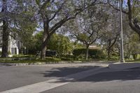 Los Angeles Residential Area on a Clear Day - 001