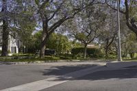 Los Angeles Residential Area on a Clear Day - 001