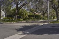 Los Angeles Residential Area on a Clear Day