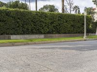 a skateboarder is making a sharp turn on the street next to a bush