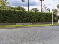 a skateboarder is making a sharp turn on the street next to a bush