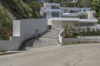 Los Angeles Residential Area: A Showcase of Urban Design