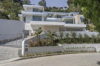 Los Angeles Residential Area: A Showcase of Urban Design