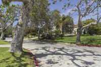 trees on the sidewalk and curb in front of a residential area with a road, walkway and bushes around them