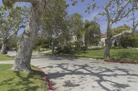 trees on the sidewalk and curb in front of a residential area with a road, walkway and bushes around them