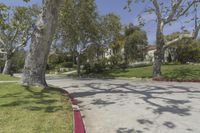 trees on the sidewalk and curb in front of a residential area with a road, walkway and bushes around them