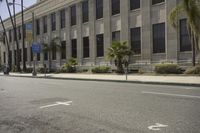 there is a very large building on the corner of a street, surrounded by palm trees and shrubs