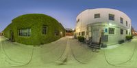 two shots of a building that is green with ivys on the outside and a tree on the inside