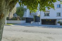 Residential Neighborhood in Los Angeles: Clear Sky and City Life