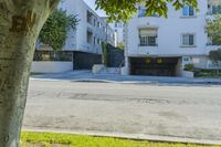 Residential Neighborhood in Los Angeles: Clear Sky and City Life