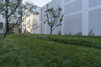 a white building with a grass patch in the front of it and tree in front