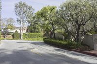 a road lined with shrubs and trees next to the homes of several people walking on it