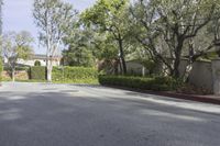 a road lined with shrubs and trees next to the homes of several people walking on it