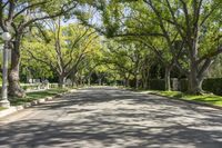 Los Angeles Residential Road in California: A POV Perspective