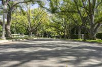 Los Angeles Residential Road in California: A POV Perspective