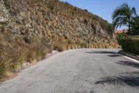 Los Angeles Residential Road in Hollywood Hills 001