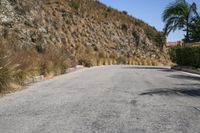 Los Angeles Residential Road in Hollywood Hills