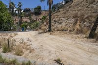 Los Angeles Residential Roads on a Clear Day 001