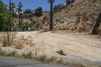 Los Angeles Residential Roads on a Clear Day 002