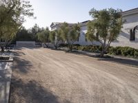 this is an image of a gravel road lined with houses and trees and small bushes