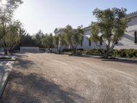 this is an image of a gravel road lined with houses and trees and small bushes