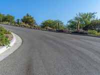 a very long winding road that goes up a mountain top into the desert area with some plants